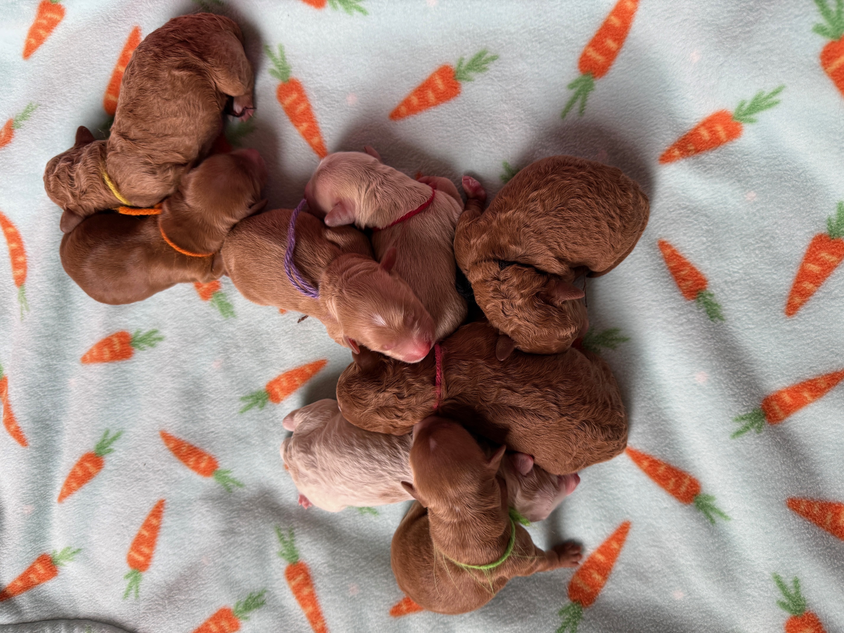 2 boys, 6 girls